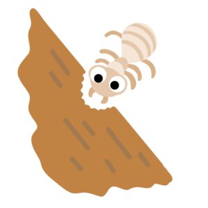 シロアリの警告サイン！春から初夏の住まい点検ポイント